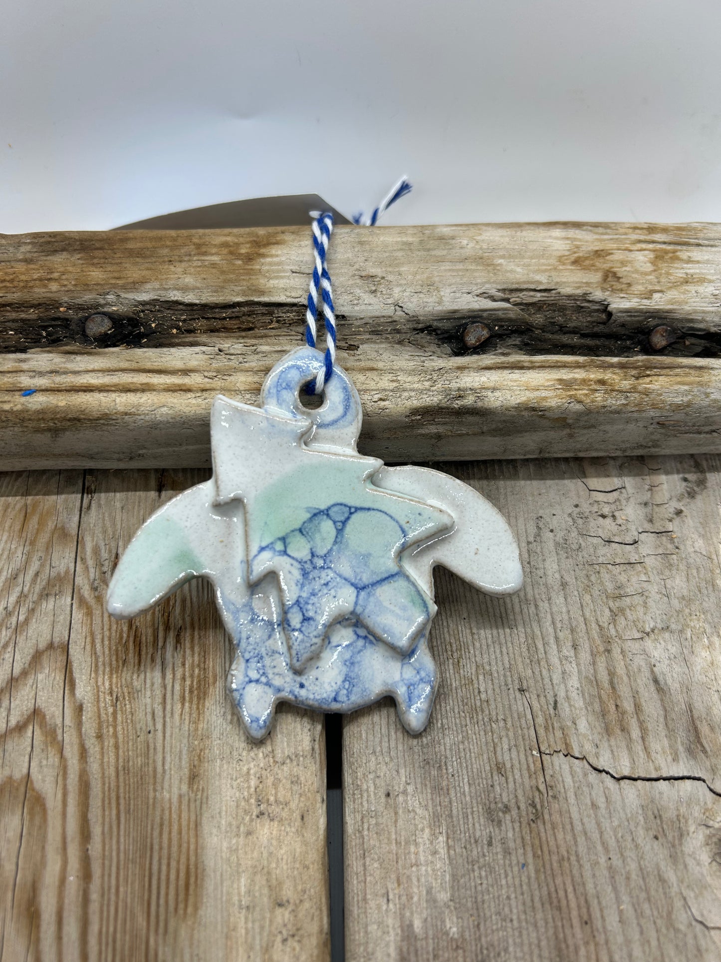 Sea Turtle carrying in Christmas