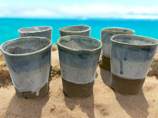 Vans Beach Water Cup set